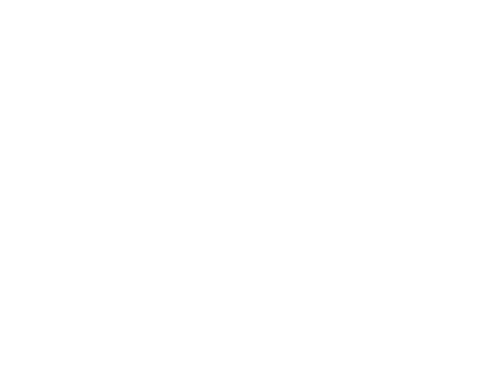 VDU logotipas